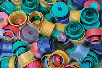 Cleaning cap of sawdust mushroom, prepare to use.