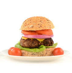 Hamburger on healthy whole grain bun