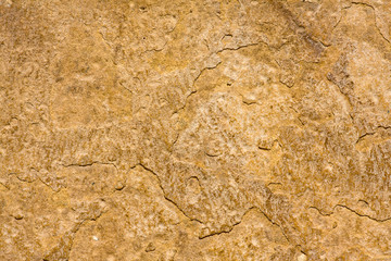 Great old grunge wall texture