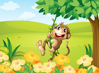 A monkey playing with the vine plant