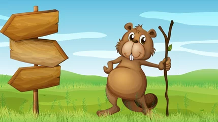 Fototapete Bären Ein Biber hält ein Holz neben einem Holzschild