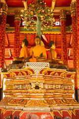 Fototapeta premium Buddha statue