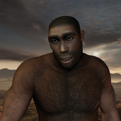 Frühmensch Homo erectus