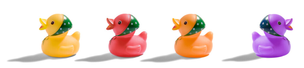 Colourful rubber duck banner