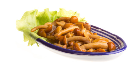 agaric honey at plate