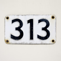 Nr. 313