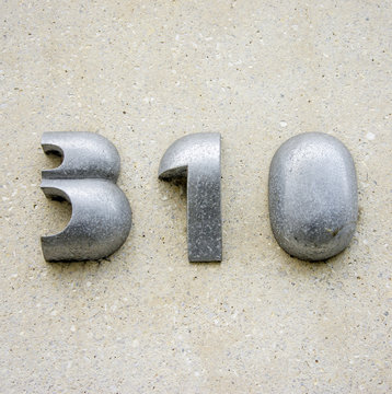 Nr. 310