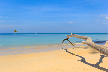 Fototapeta na wymiar Paradisiac beach in Phuket
