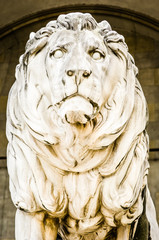 old lion statue