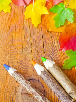 color pencils and leaves on wood