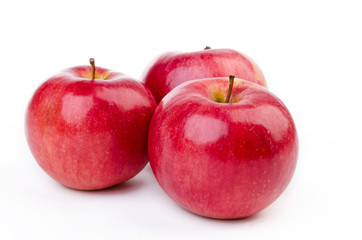 Apples isolated