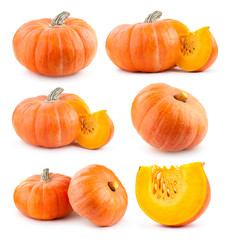 collection of pumpkin images - obrazy, fototapety, plakaty