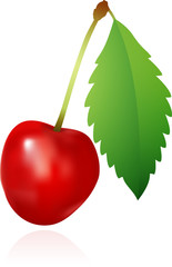 Red Cherry with reflection.