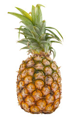 Fototapeta premium pineapple on white