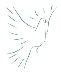 Obraz premium dove - simple sketch