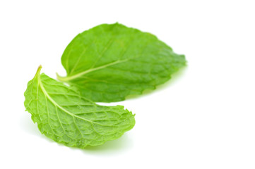 Mint leaf