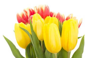 Bunch of tulips