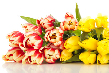 Bunch of tulips