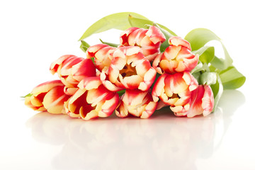 Bunch of tulips