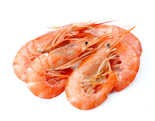 Shrimps close up