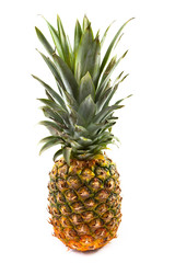 Obraz premium pineapple