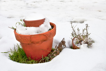 Pots in the snow