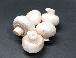 Champignons Pilze
