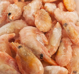 Many shrimp close up