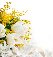 White tulips with a mimosa, a background from flowers © seqoya