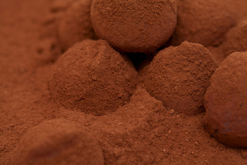 chocolate truffles
