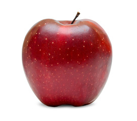 Obraz na płótnie Canvas red apple isolated on white background