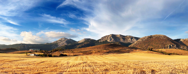 hay field panorama with mountains © mimadeo