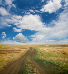 Fototapeta na wymiar krajobraz z pola i niebo