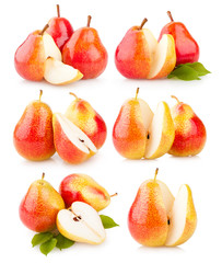 collection of pear images