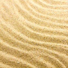 Sand Texture