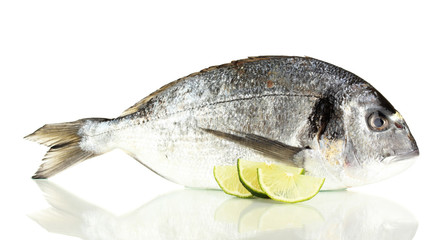 Dorado fish with lemon isolated on white