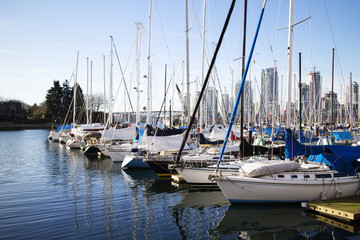 Fototapeta premium sailboats at false creek pier -wide shot