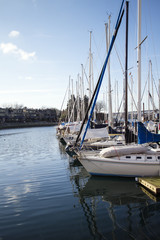 sailboats at false creek pier