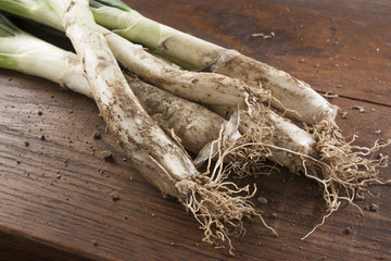 Bunch of calçots on wooden table