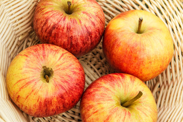 Prerasny fresh crop in an apple garden sunlight.