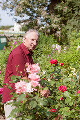 Fototapeta na wymiar old men with rose in garden