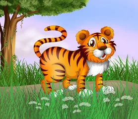 Poster Zoo Een tijger en een prachtige natuur