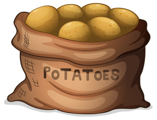 Fototapeta A sack of potatoes obraz
