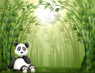 Poster Im Rahmen Ein Pandabär und ein Bambuswald © GraphicsRF