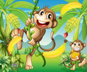 Gordijnen Twee apen bij de bananenplant © GraphicsRF