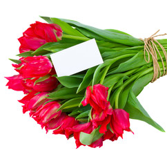 red  tulips with greeting card
