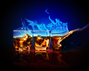 Three glasses of burning yellow absinthe