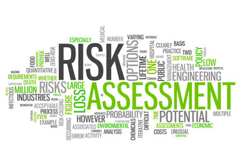 Word Cloud "Risk Assessment"