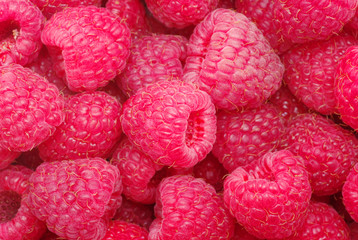 raspberry background