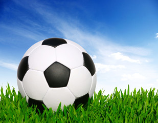 Fototapeta premium soccer ball